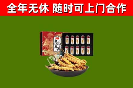 遵义回收冬虫夏草价格